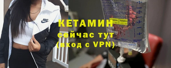 прущие грибы Балахна