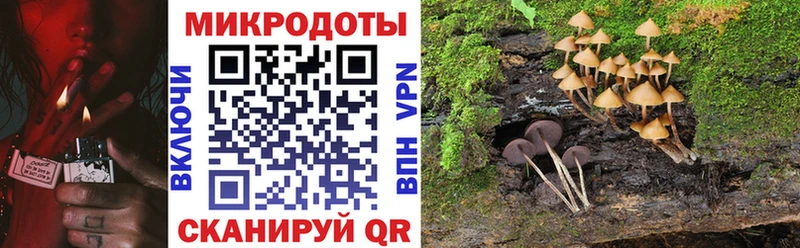 Псилоцибиновые грибы Psilocybe  Хотьково 